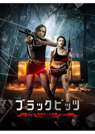 ブラックビッツ 戦闘モード開始のポスター