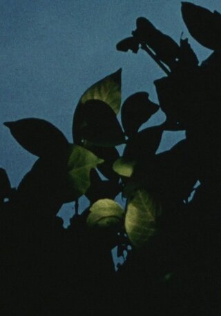 地球の石のポスター