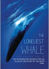 The Loneliest Whale: The Search for 52（原題）のポスター