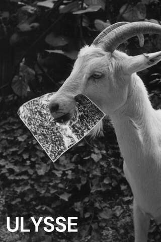 Ulysse（原題）のポスター