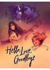 Hello, Love, Goodbye（原題）のポスター