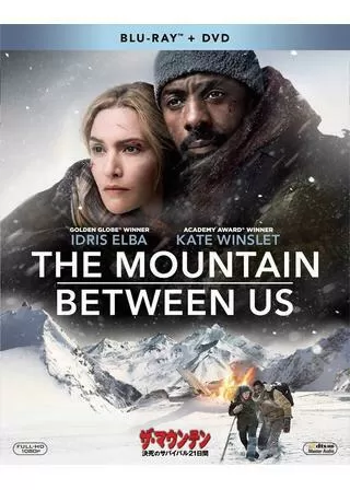 ザ・マウンテン 決死のサバイバル21日間のポスター