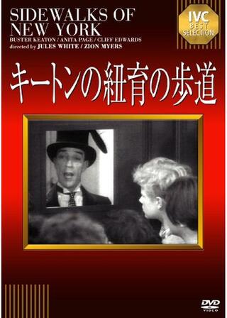 紐育の歩道のポスター