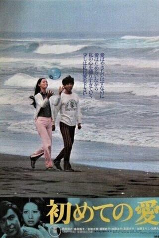 初めての愛のポスター