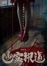 劇場版 幽霊報道のポスター