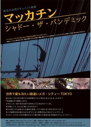マッカチン シャドー・ザ・パンデミックのポスター