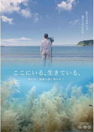 ここにいる、生きている。 〜消えゆく海藻の森に導かれて〜のポスター