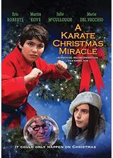 A Karate Christmas Miracle（原題）のポスター