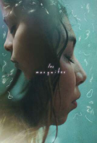 Los Mosquitos（原題）のポスター