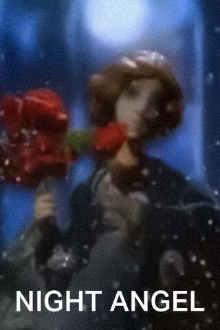 ナイトエンジェルのポスター