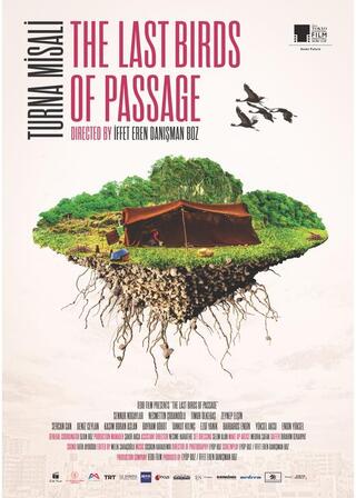 最後の渡り鳥たちのポスター