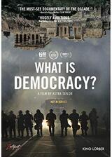 What Is Democracy?（原題）のポスター