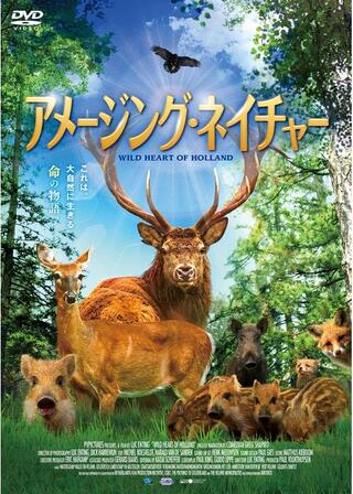 アメージング・ネイチャーのポスター
