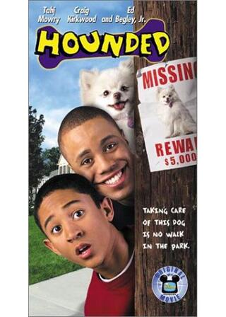 吠えるチビ犬ちゃんのポスター