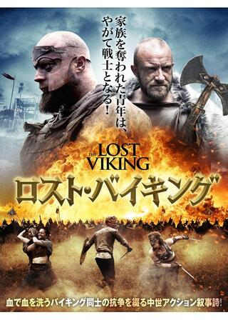 ロスト・バイキングのポスター