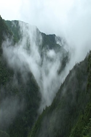 天竜区奥領家大沢 夏のポスター