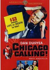 Chicago Calling（原題）のポスター