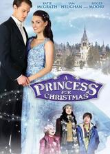 A princess for christmas （原題）のポスター