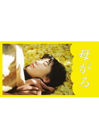 母がるのポスター