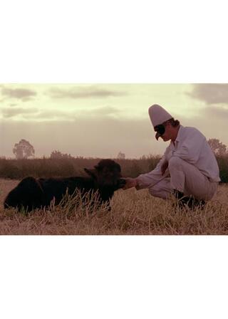 失われた美のポスター