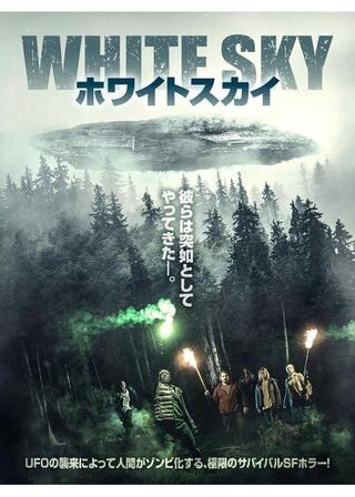 ホワイトスカイのポスター