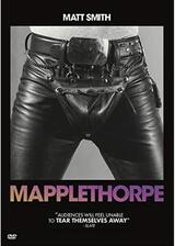 Mapplethorpe（原題）のポスター