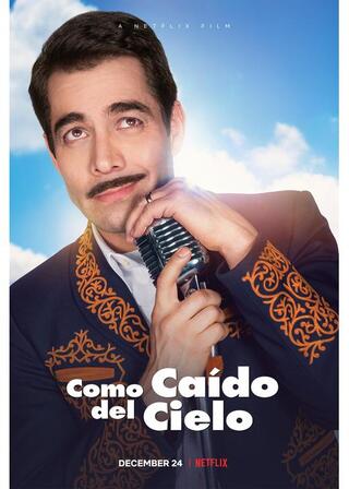 天から舞い降りたメロディのポスター