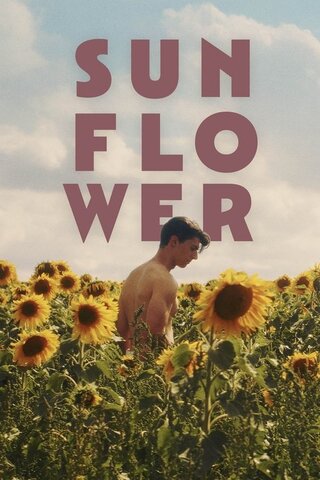 Sunflower（原題）のポスター