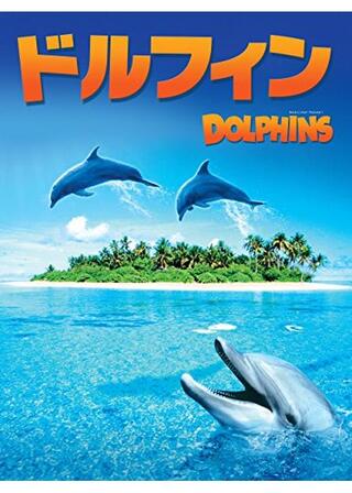 ドルフィンのポスター