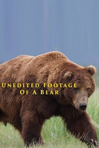 Unedited Footage of a Bear（原題）のポスター