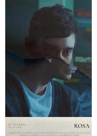 ローザのポスター