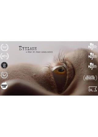 アイラッシュのポスター