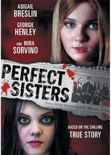 Perfect Sisters（原題）のポスター