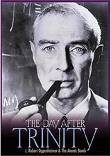 The Day After Trinity（原題）のポスター