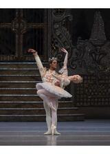 英国ロイヤル・バレエ＆オペラ in シネマ 2024/25『くるみ割り人形』のポスター