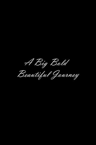 A Big Bold Beautiful Journey（原題）のポスター