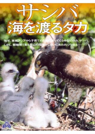 サシバ 海を渡るタカのポスター