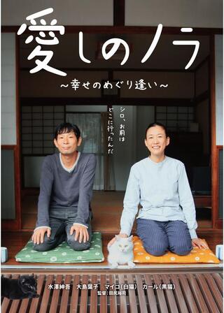 愛しのノラ 幸せのめぐり逢い／愛しのノラ 幸せをはこぶ猫のポスター