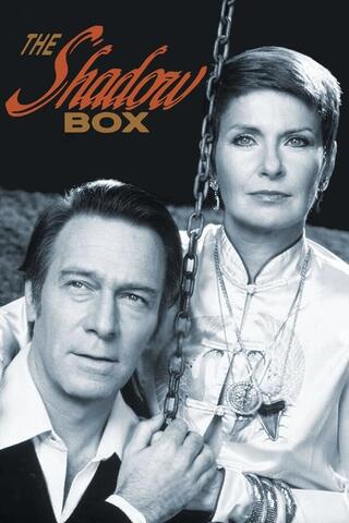 ポール・ニューマン 遠い追憶の日々のポスター