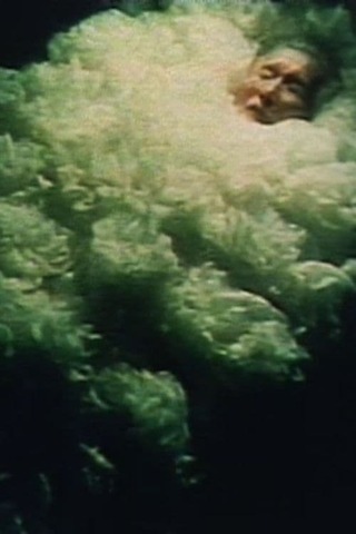 眠る花のポスター