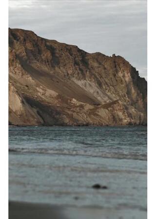 海に裏切られた男のポスター