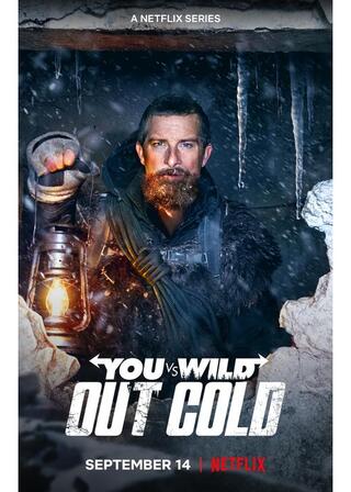 You vs. Wild －究極のサバイバル術－: 失われた記憶のポスター