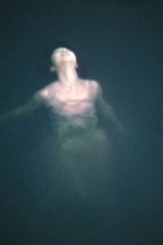 おでかけ日記のポスター