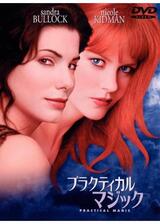 プラクティカル・マジックのポスター