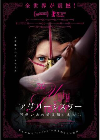 アグリーシスター 可愛いあの娘は醜いわたしのポスター