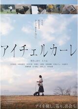 アイチェルカーレのポスター