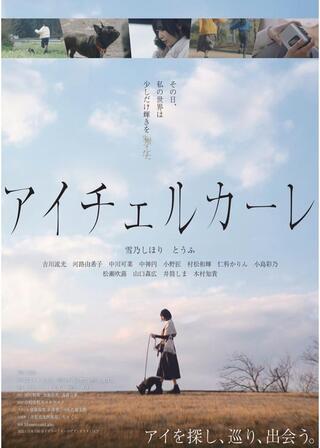アイチェルカーレのポスター