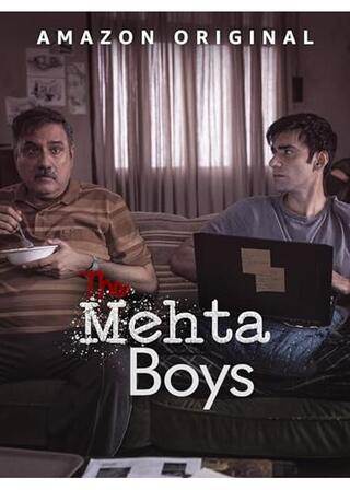 メータ・ボーイズ ～父と息子の48時間～のポスター