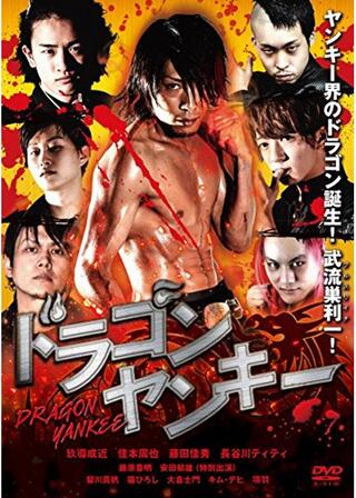 ドラゴンヤンキーのポスター