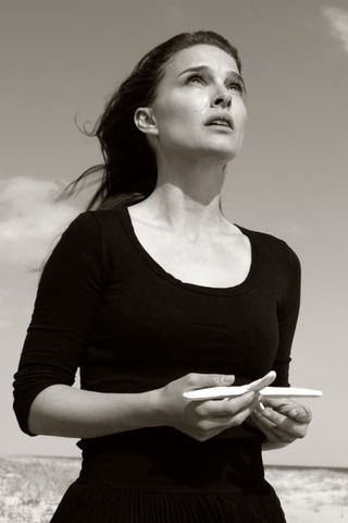 Illusions & Mirrors(原題)のポスター